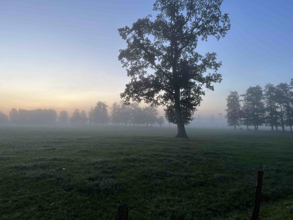 Morgenstimmung mit Nebel Fahrenhorster Weg Tangstedt