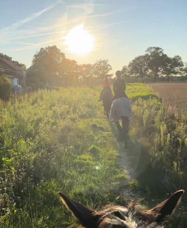 Ausreiten in Tangstedt