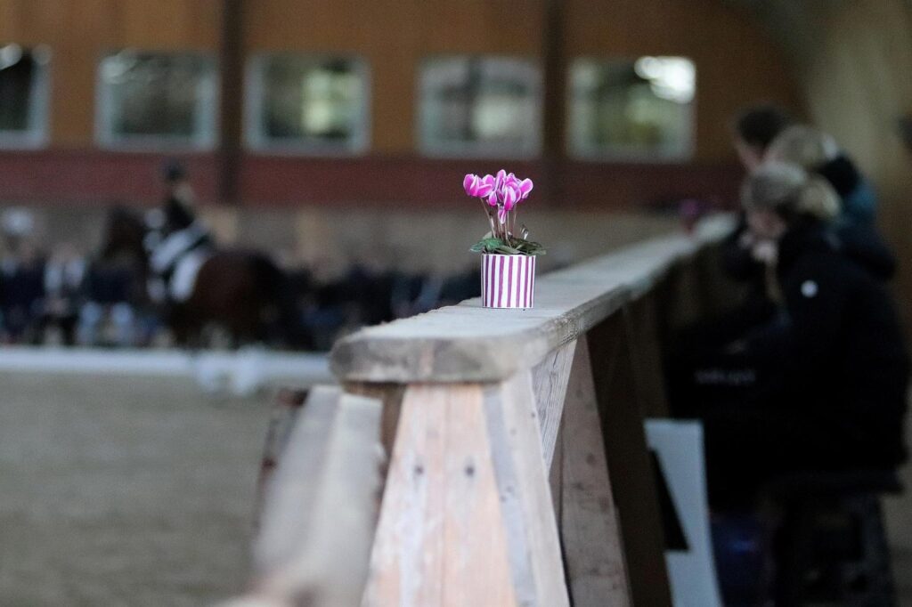 Blümchen auf Band Reithalle Gut Tangstedt