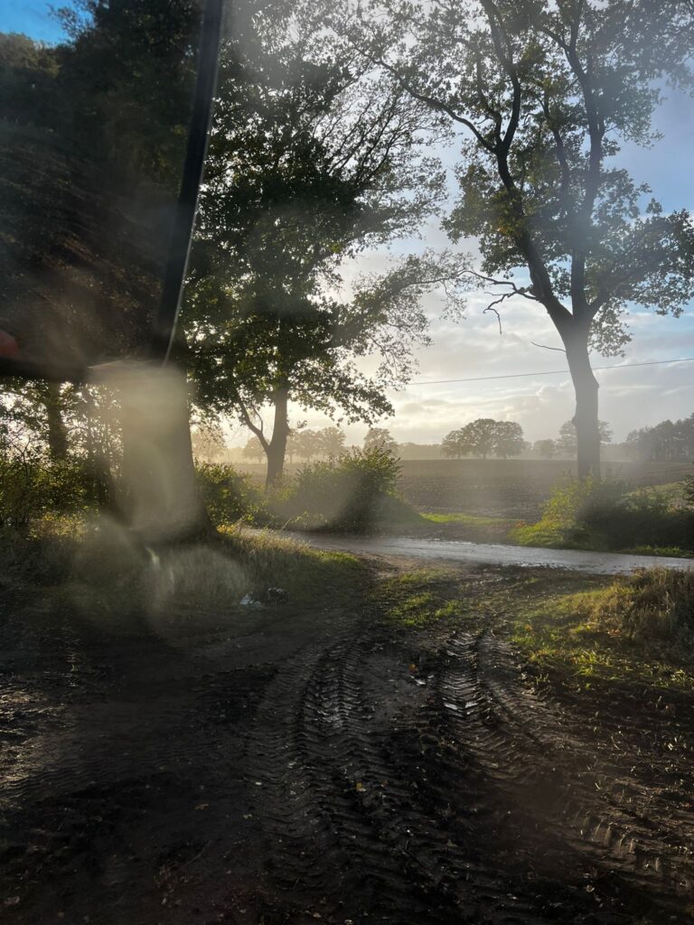 Felder Gut Tangstedt im Morgennebel