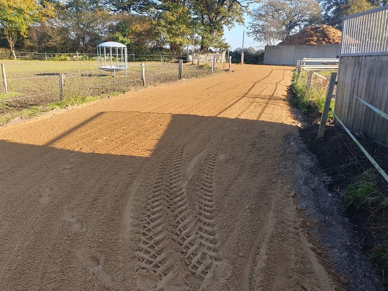 Sanierung Treibeweg Winterweiden Gut Tangstedt